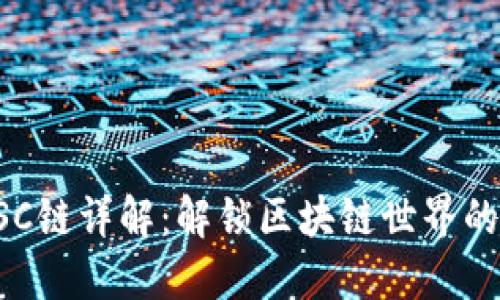 TP钱包BSC链详解：解锁区块链世界的无限可能